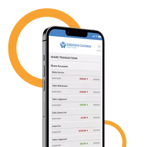 View Account Balances and Transactions